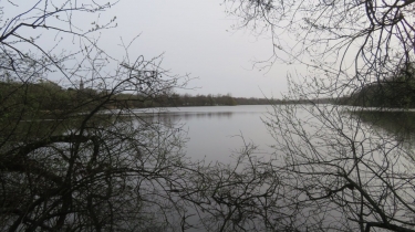 SAINT-NAZAIRE - ETANGS DU BOIS JOALLAND-loire-atlantique