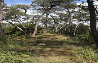 ETANG DE LA FORGE NEUVE-loire-atlantique