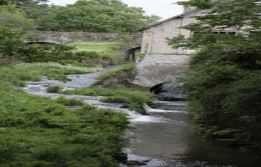 ETANG DE LA FORGE NEUVE-loire-atlantique