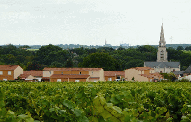 LA HAIE-FOUASSIERE-loire-atlantique