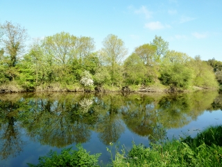 MEANDRES DU CANAL DE NANTES A BREST-loire-atlantique