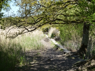 SAINT-LYPHARD-loire-atlantique