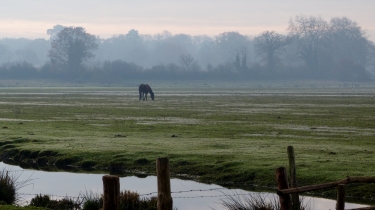 DREFFEAC-loire-atlantique