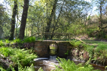 SEVERAC - CIRCUIT MARAIS ET CHATEAUX-loire-atlantique