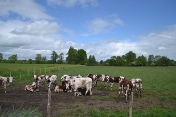CIRCUIT DE LA FERME-ECOLE-loire-atlantique