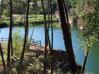 CIRCUIT DES PINS-loire-atlantique