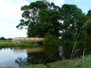 SAINTE-ANNE-SUR-BRIVET - CIRCUIT DES MARAIS-loire-atlantique