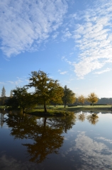 SAINTE-ANNE-SUR-RIVET - CIRCUIT DES LANDES-loire-atlantique