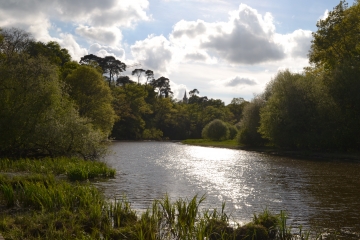 PONT-CHATEAU - CIRCUIT DES HERONS-loire-atlantique