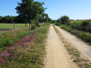 MISSILLAC - LA ROCHE AUX LOUPS-loire-atlantique