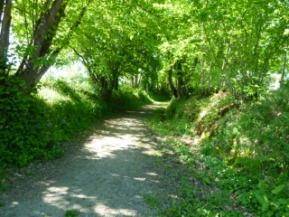 GUENROUET-loire-atlantique