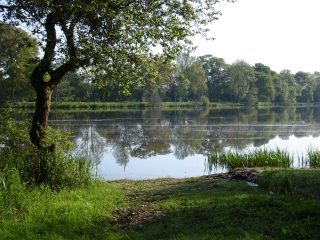GUENROUET - CIRCUIT DU COUGOU-loire-atlantique
