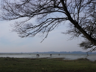 CROSSAC (2)-loire-atlantique