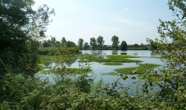 ECLUSE DE LA DIGUE-loire-atlantique