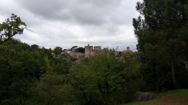 CLISSON - LE VIGNOBLE-loire-atlantique