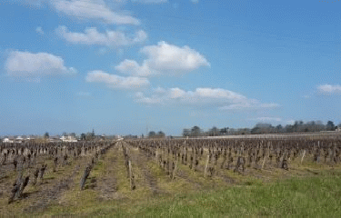 VALLET - LA POMMERAIE-loire-atlantique