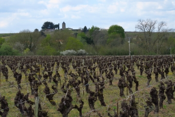 MONNIERES - CIRCUIT DES MOULINS-loire-atlantique