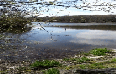 SAVENAY - CIRCUIT DU BELVEDERE-loire-atlantique