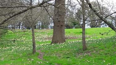 SAVENAY - CIRCUIT DU BELVEDERE-loire-atlantique