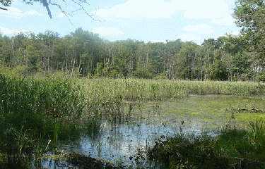 GRIGNON - LA RIGOLE DU COURPALET (2EME PARTIE)-loiret