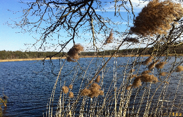 CHATEAU DE CENTIMAISONS-loiret