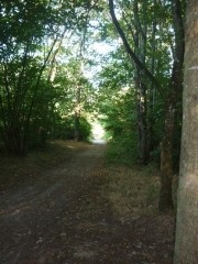 OLIVET - PR 2 - LA TRESORERIE-loiret