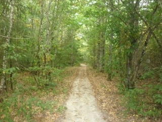 MEZIERES-LEZ-CLERY RANDONNEE DE 19 KMS-loiret