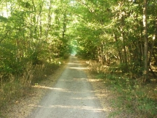 SAINT HILAIRE SAINT MESMIN -  BOIS ET VERGERS - PR I5-loiret