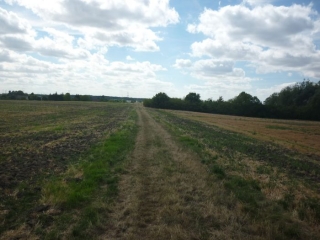 INGRE - RANDONNEE DE LA CHIVACHE - PR N 3-loiret