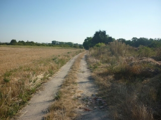 RANDONNEE DES QUEUES DE FORETS-loiret