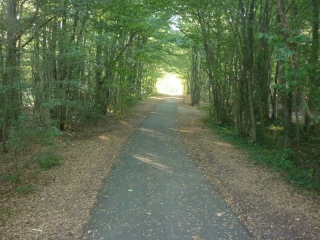 ORMES - LA CANAUDIERE PR 5-loiret