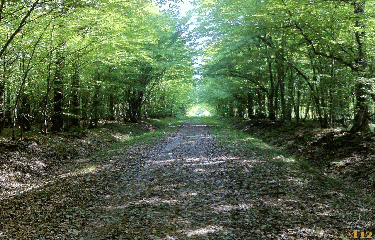 MARAIS ET REBRECHIEN-loiret