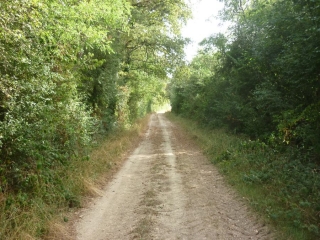 COULMIERS - A TRAVERS CHAMPS ET CAMPAGNE-loiret