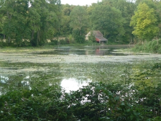 COULMIERS - A TRAVERS CHAMPS ET CAMPAGNE-loiret