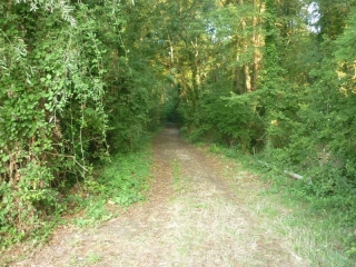 HUISSEAU SUR MAUVES - BOIS ET CHAMPS-loiret