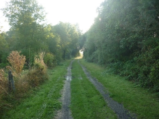HUISSEAU SUR MAUVES - BOIS ET CHAMPS-loiret