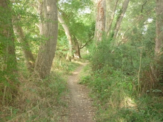 COMBLEUX - MARDIE - ENTRE CANAL ET LOIRE-loiret