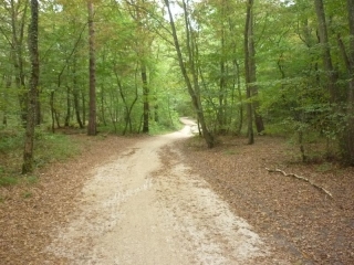SEMOY - CIRCUIT DE LA VALINIERE-loiret