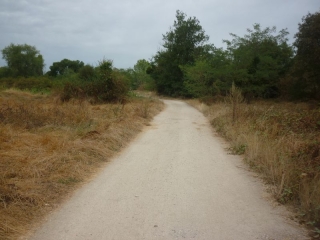 CHAINGY - PLAGE DE FOURNEAUX - BAULE ET BORDS DE LOIRE-loiret