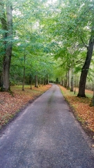 MONTCRESSON - RANDO DE LA FOREST-loiret