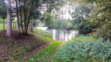 MONTCRESSON - RANDO DE LA FOREST-loiret