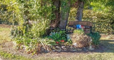 L ORME AU MUET-loiret