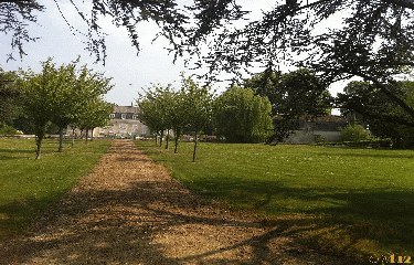 SAINT-LIE-LA-FORET-loiret