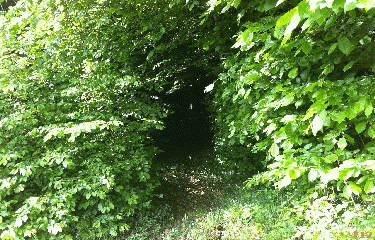 SAINT-LIE-LA-FORET-loiret