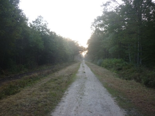 SARAN DU CHATEAU DE L ETANG EN PASSANT PAR LE PR N6 CHOPIN-loiret