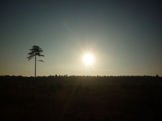 SARAN DU CHATEAU DE L ETANG EN PASSANT PAR LE PR N6 CHOPIN-loiret