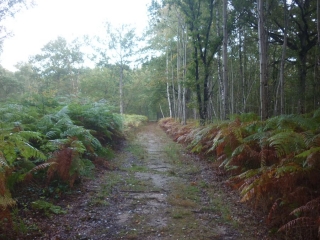 ORMES - ETANG DE LA CANAUDIERE-loiret