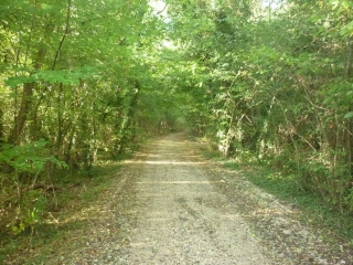ORMES - ETANG DE LA CANAUDIERE-loiret