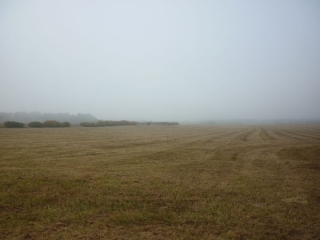 RANDONNEE DES QUEUES DE FORETS (2)-loiret