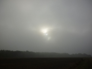 RANDONNEE DES QUEUES DE FORETS (2)-loiret